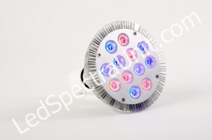 LED Spectra DS01 plant processing light