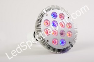 LED Spectra DS02 plant processing light