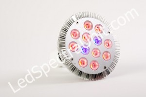 LED Spectra DS06 plant processing light.